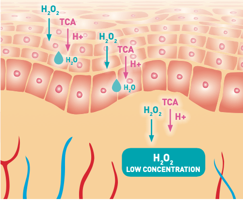 BIOREVITALISIERUNG OHNE NADELN